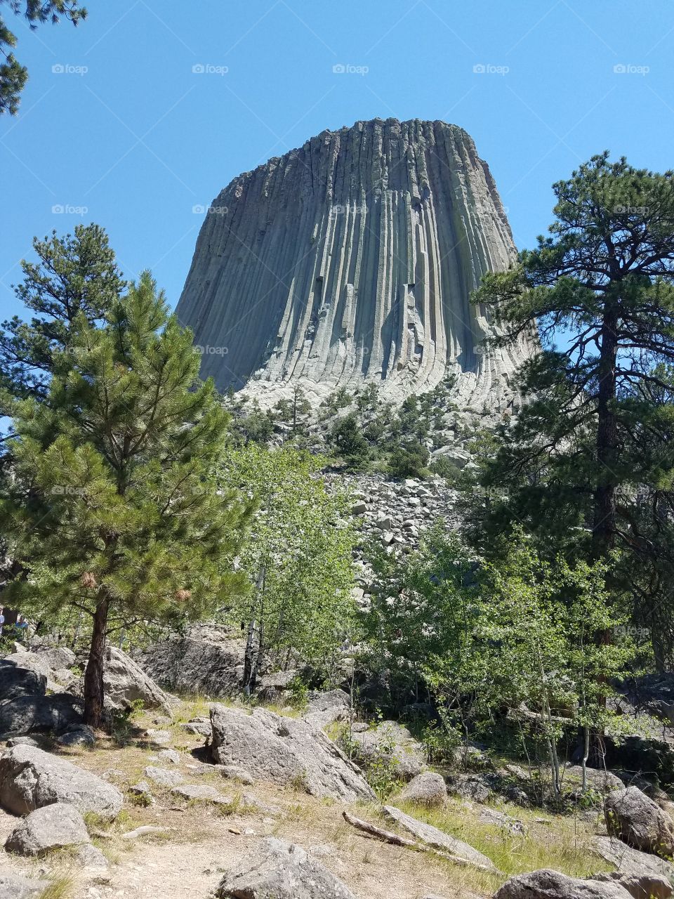 Devils Tower