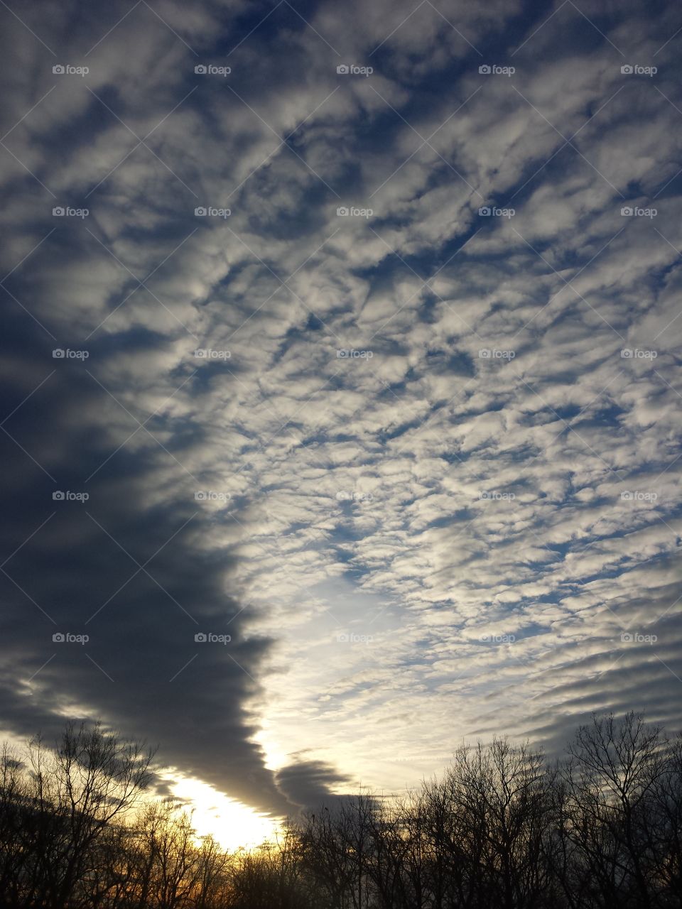 Cloudscape over bare tree