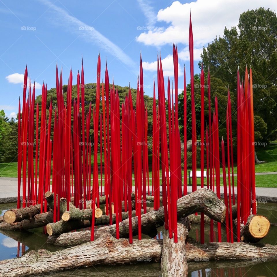 Chihuly blown glass in NY Botanical Gardens 