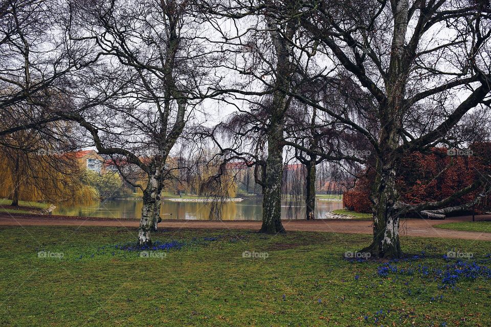 A lake in the park