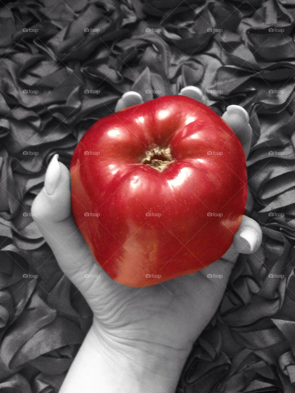 grey apple hand red delicious by leta