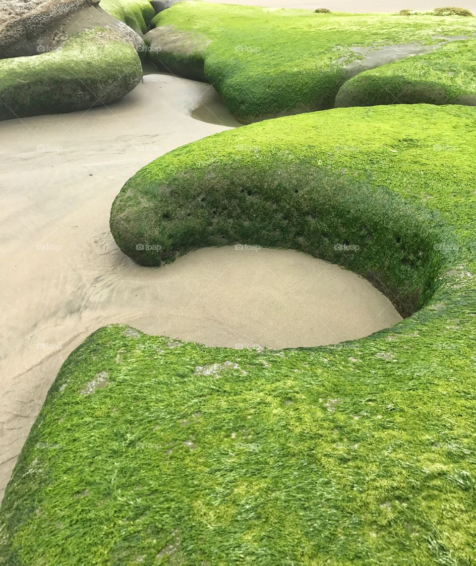 Green Beach Rocks