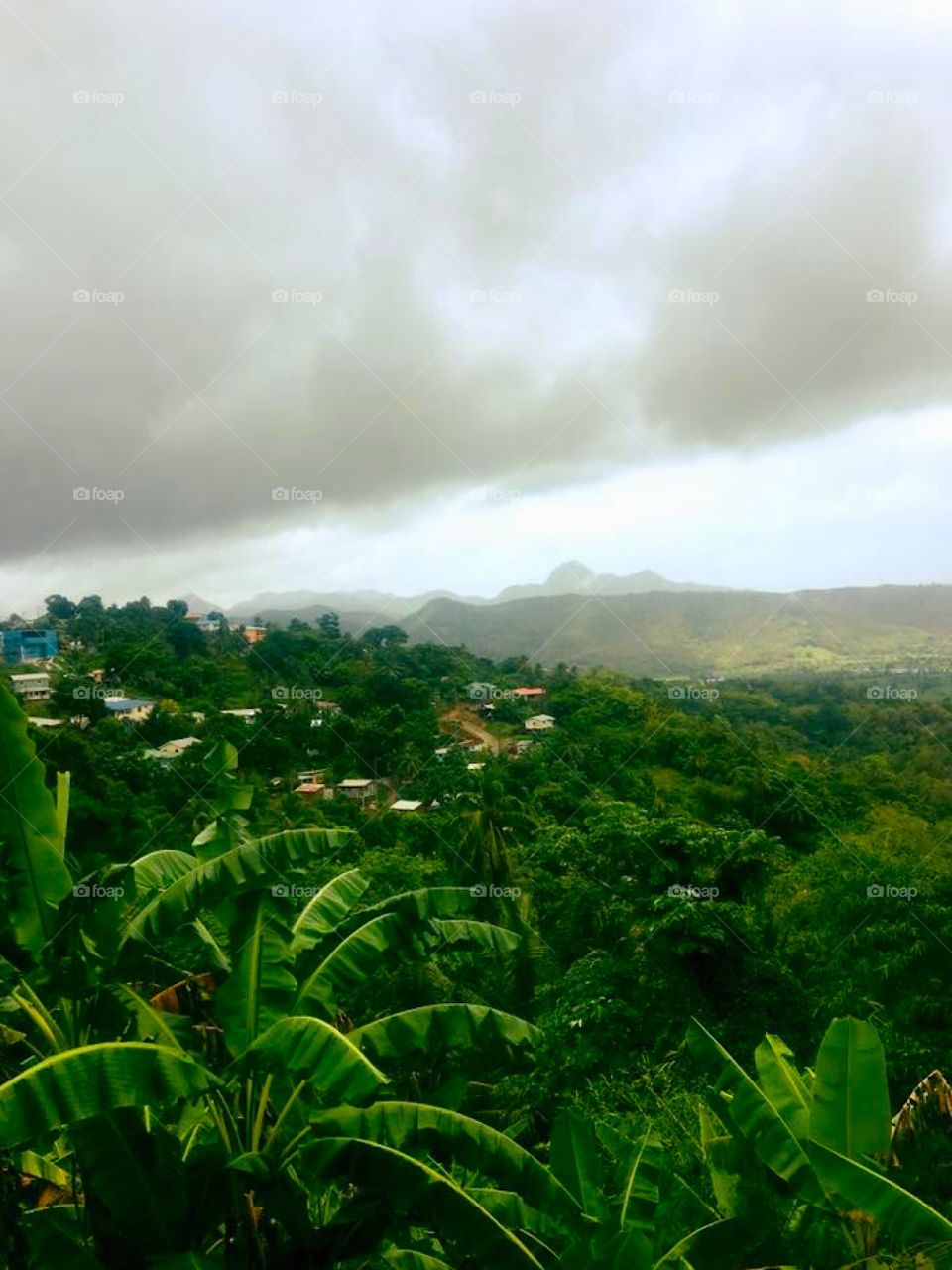 Overlooking St. Lucia