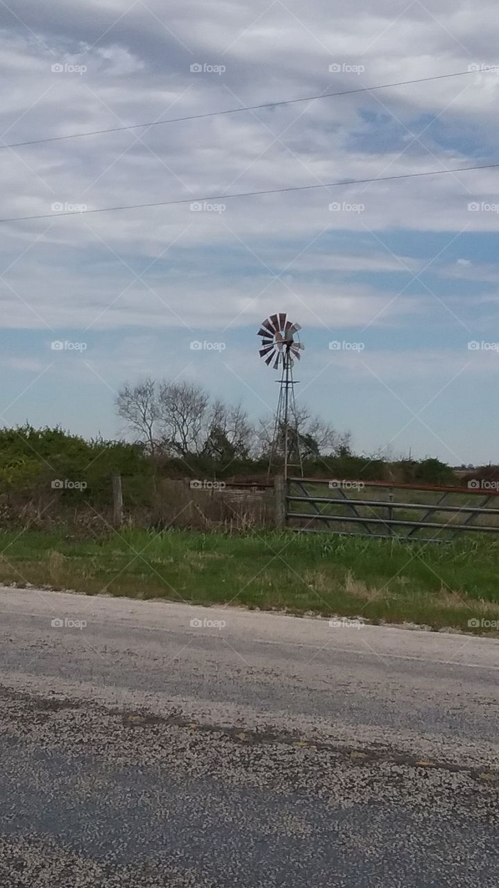windmill in pasture