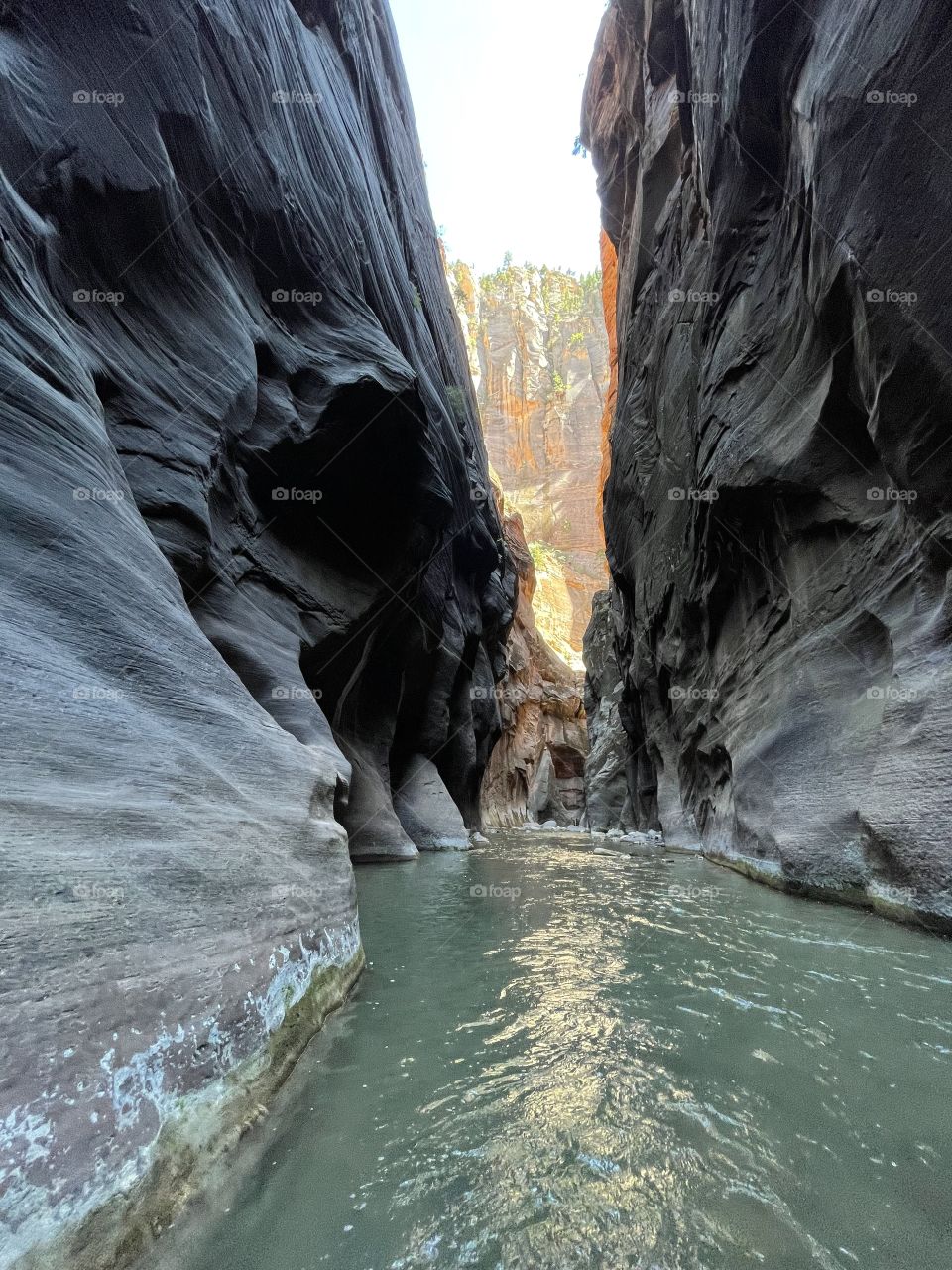 The narrows 