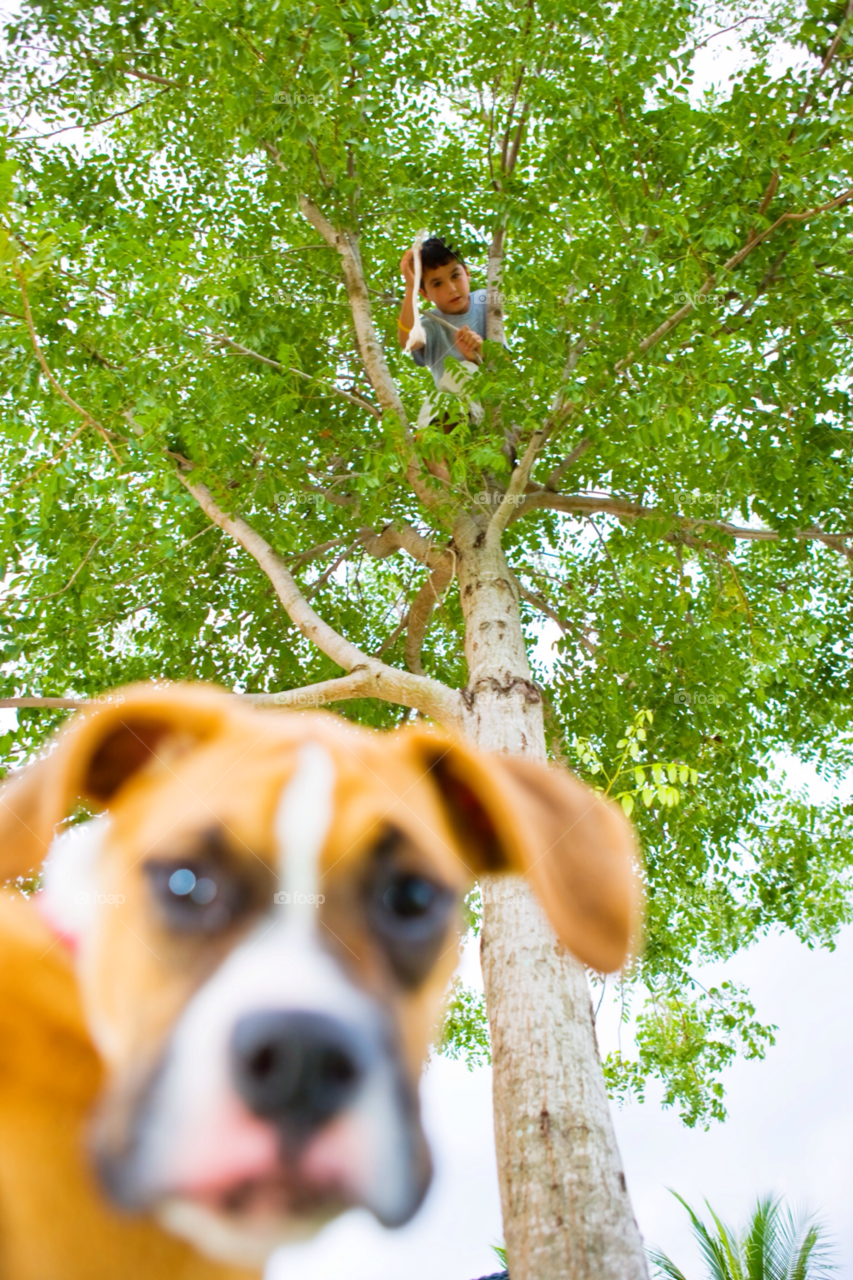 people nature outdoors photography by jmsilva59