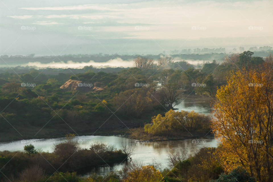 misty morning  on autumn