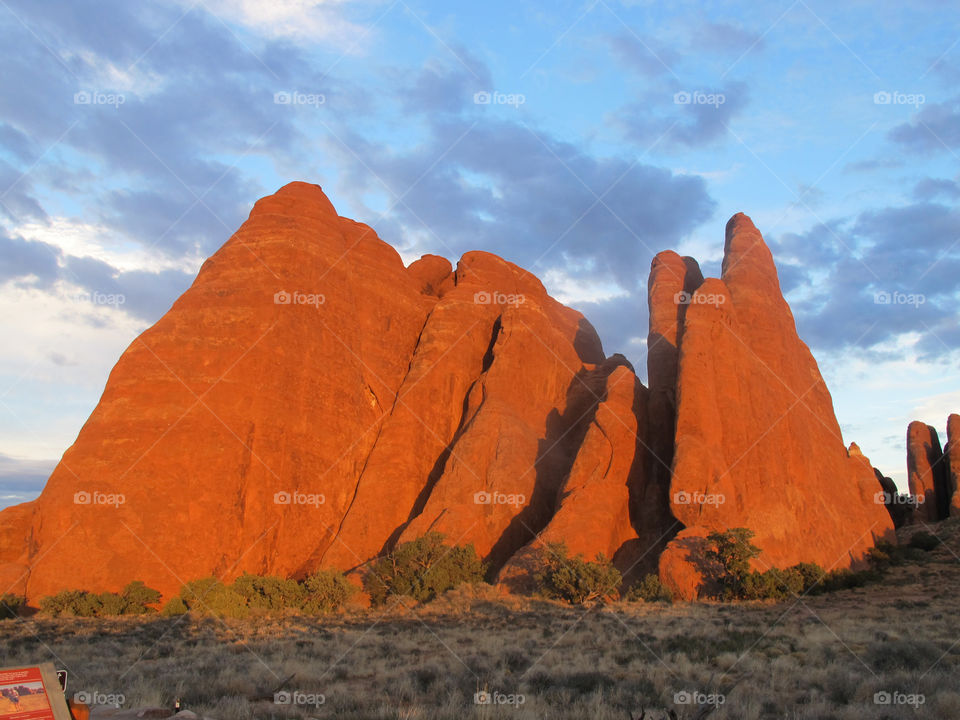 Orange sandstones