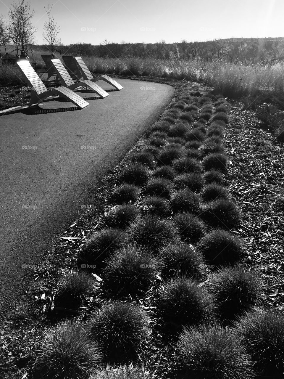 Grass tufts create pattern along side a path. 