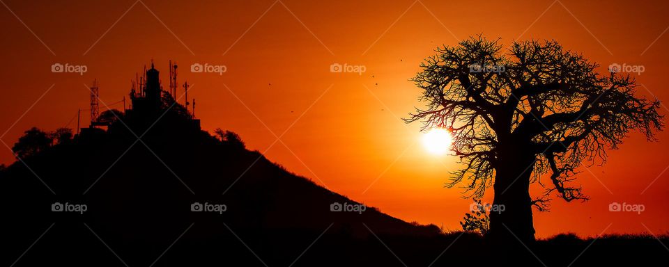 Senegal Sunset - Sunset over two iconic images of Senegal and Africa. The Baobab tree is an ancient symbol of Africa and the lighthouse on one of the two mountains known as Les Mammelles, has long been a symbol of Dakar.