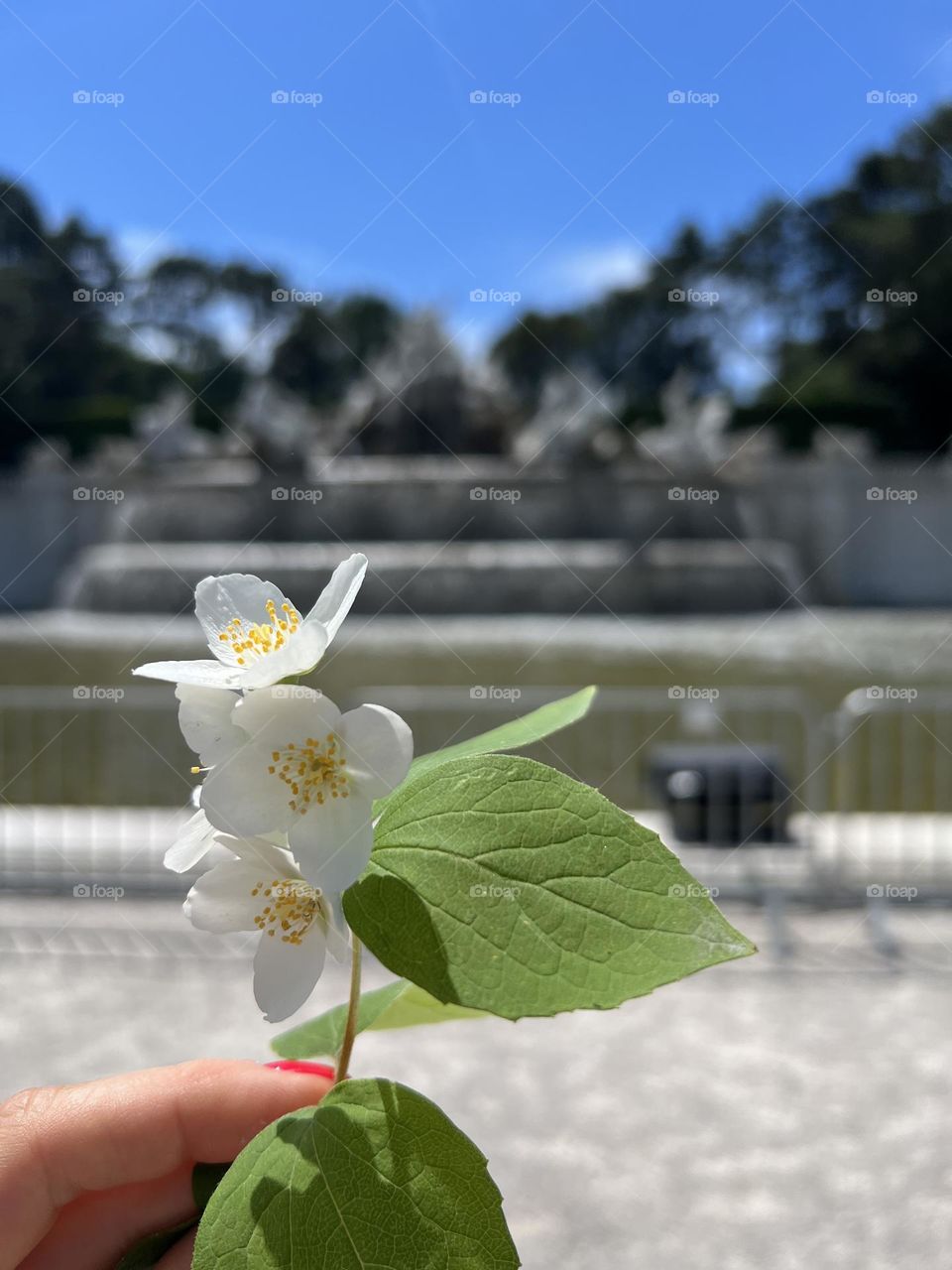 nature is multifaceted