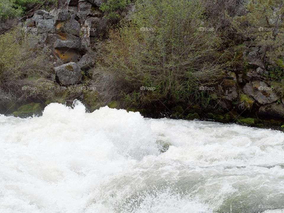 The raging whitewater at Dillon Falls on the Deschutes River in Central Oregon roaring through its canyon. 