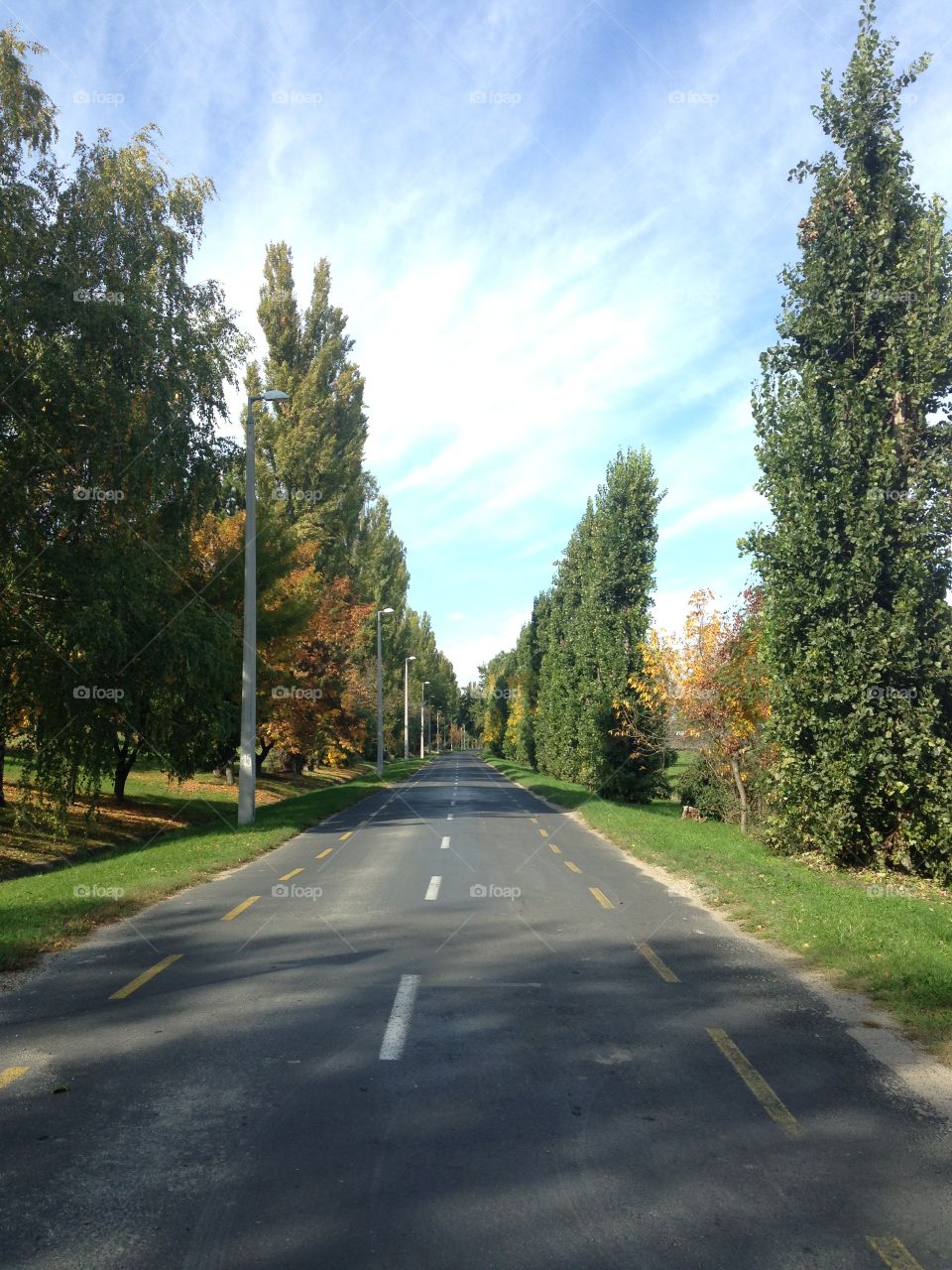 Road