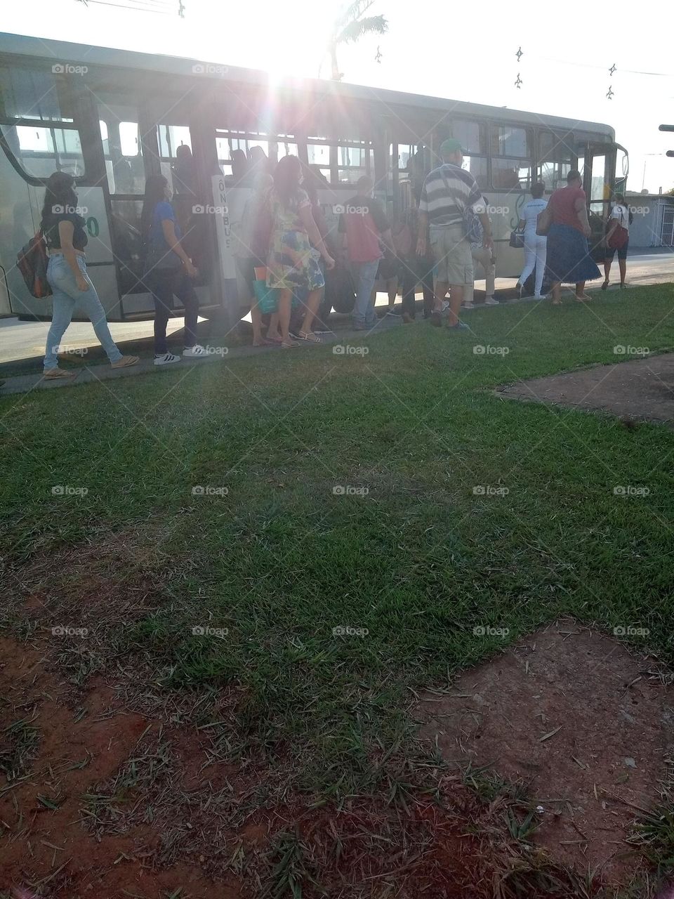 Editors'Choice Photo of the week iniciando um lindo dia de trabalho