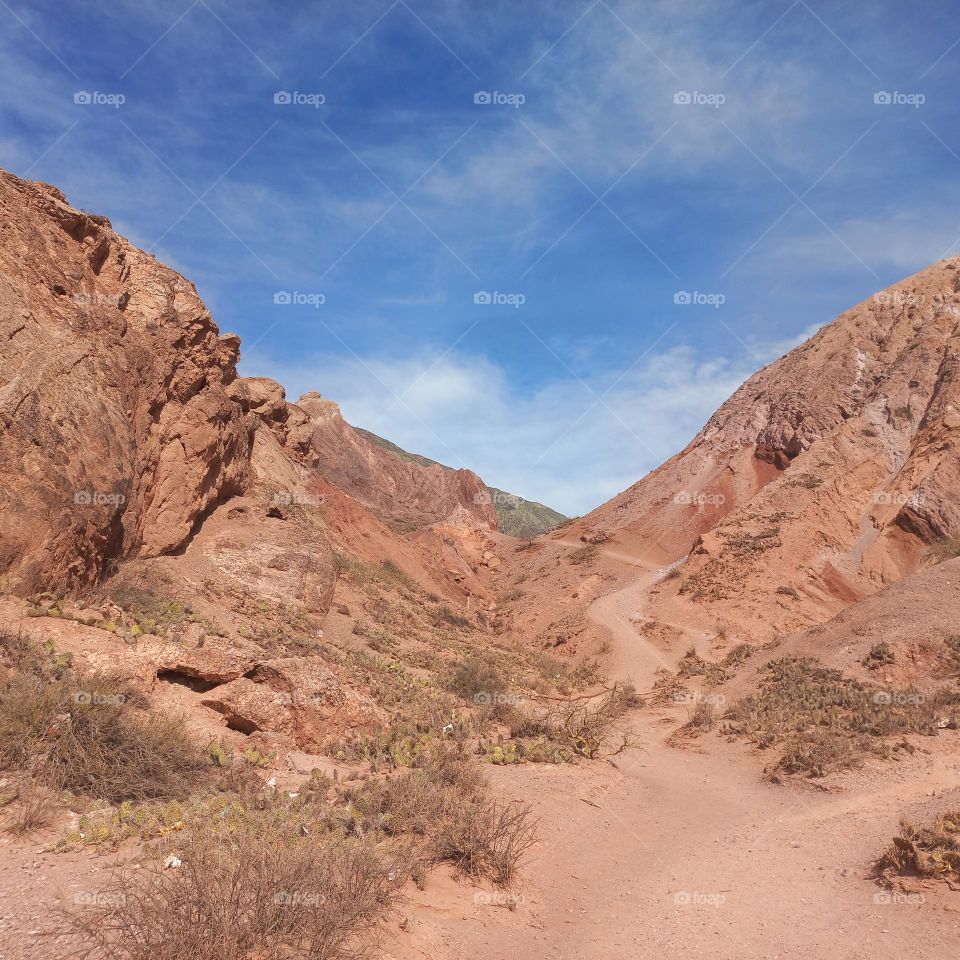 Desierto de montaña