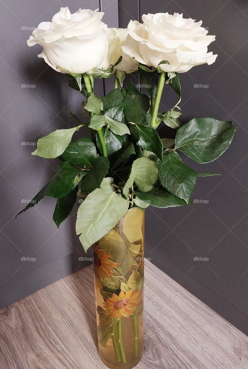 five white roses