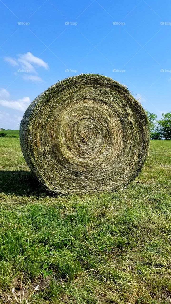 Roll in the hay