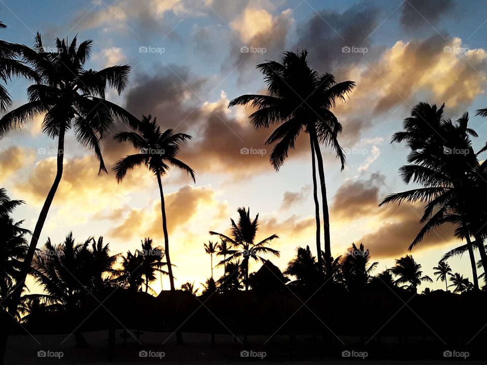 twilight in the tropics Dominican Republic