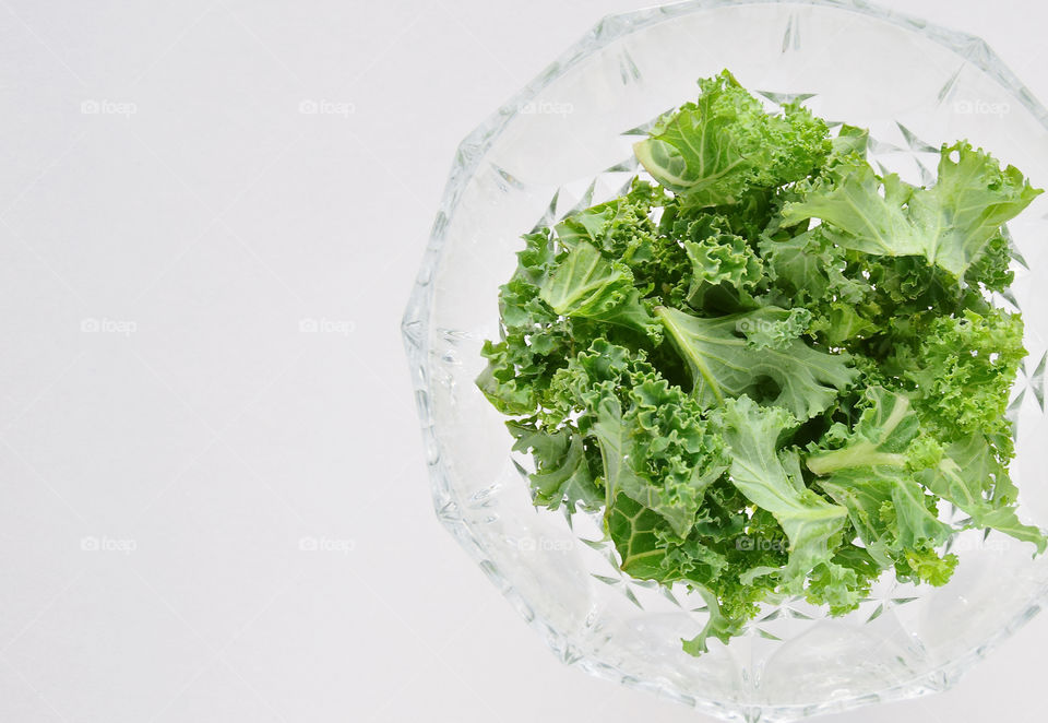 Minimalism. Green kale on high key background