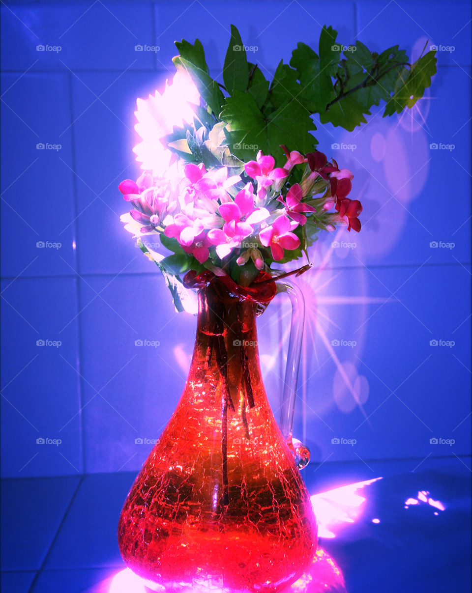 Sunlit flowers in an orange vase.