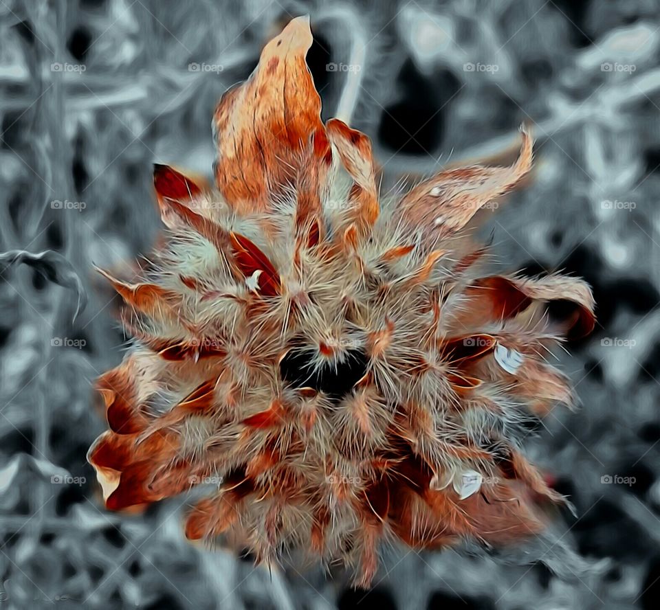 Everyone has there own charm.