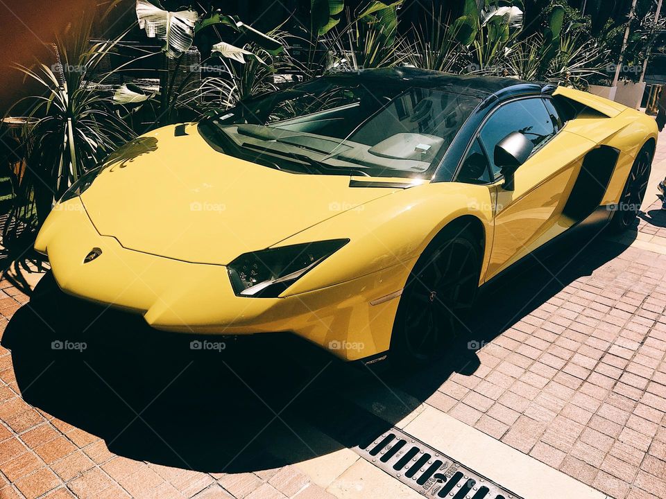 Lamborghini super car 