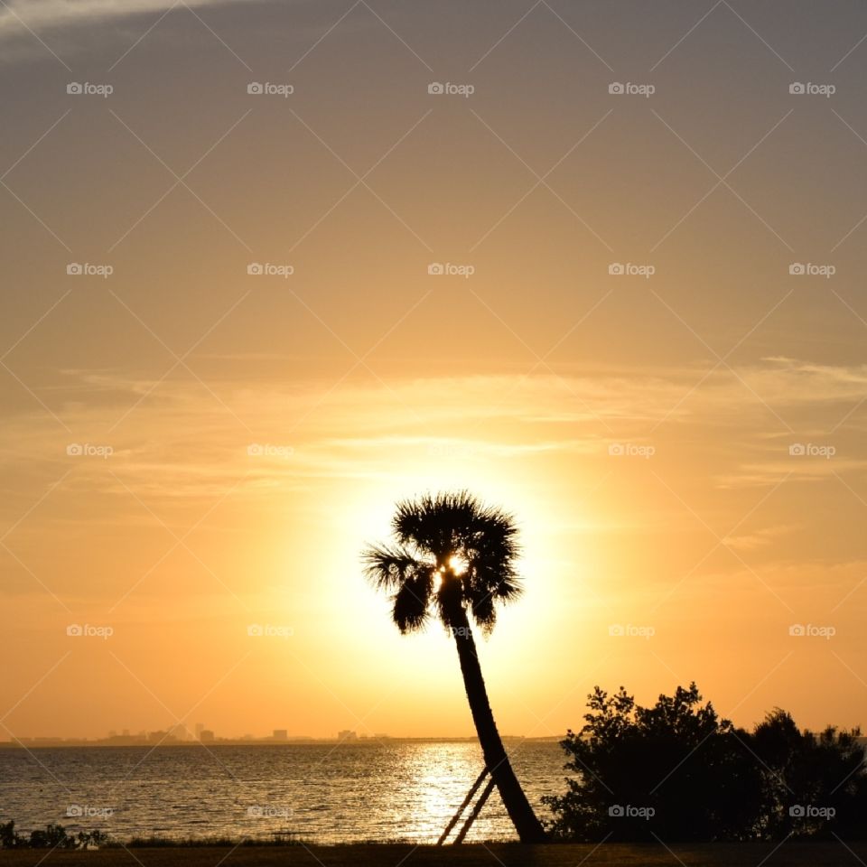 Love how the sun seems to be bursting behind the palm tree early in the morning