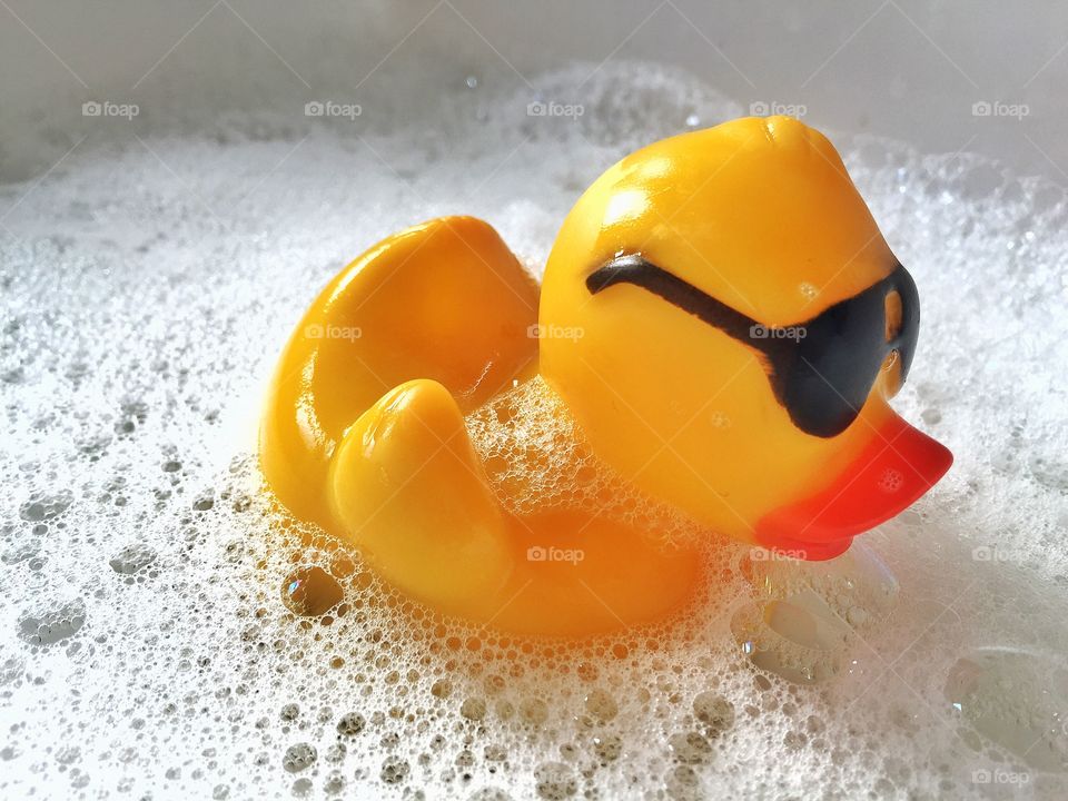 A duck to water