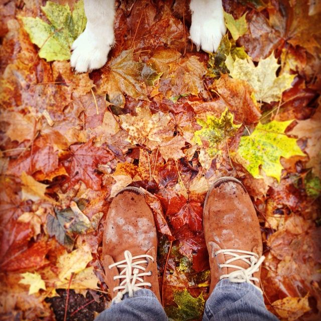 fall