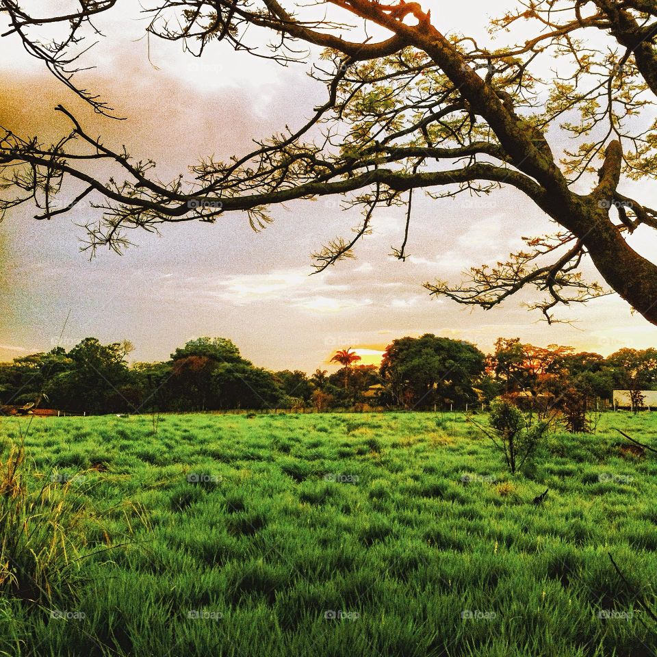 🌄🇺🇸 An extremely beautiful dawn in Jundiaí, interior of Brazil. Cheer the nature! / 🇧🇷 Um amanhecer extremamente bonito em Jundiaí, interior do Brasil. Viva a natureza! 
