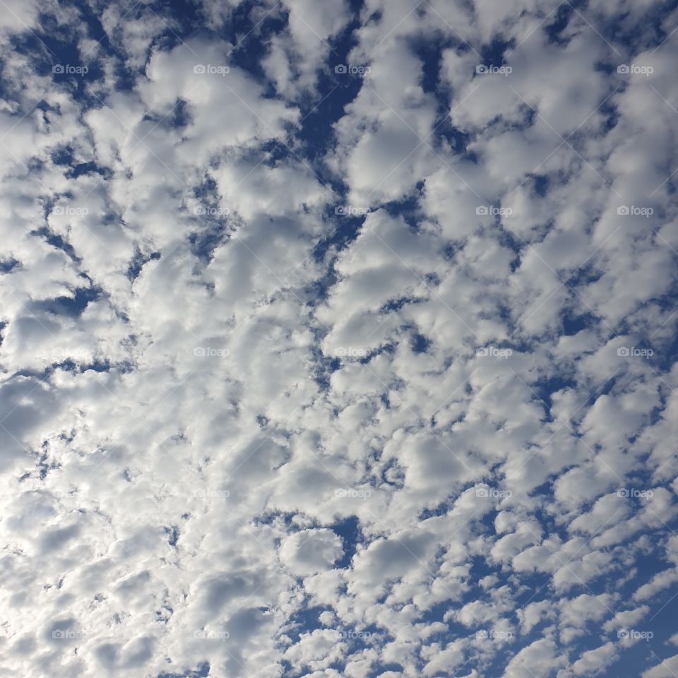 Tiny clouds in the sky