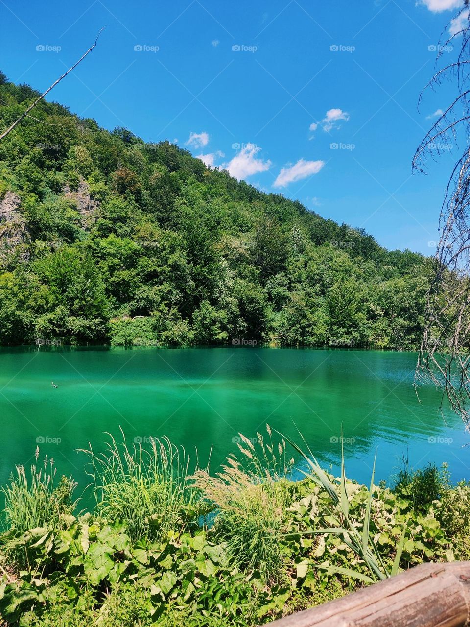 it's summer time 😄