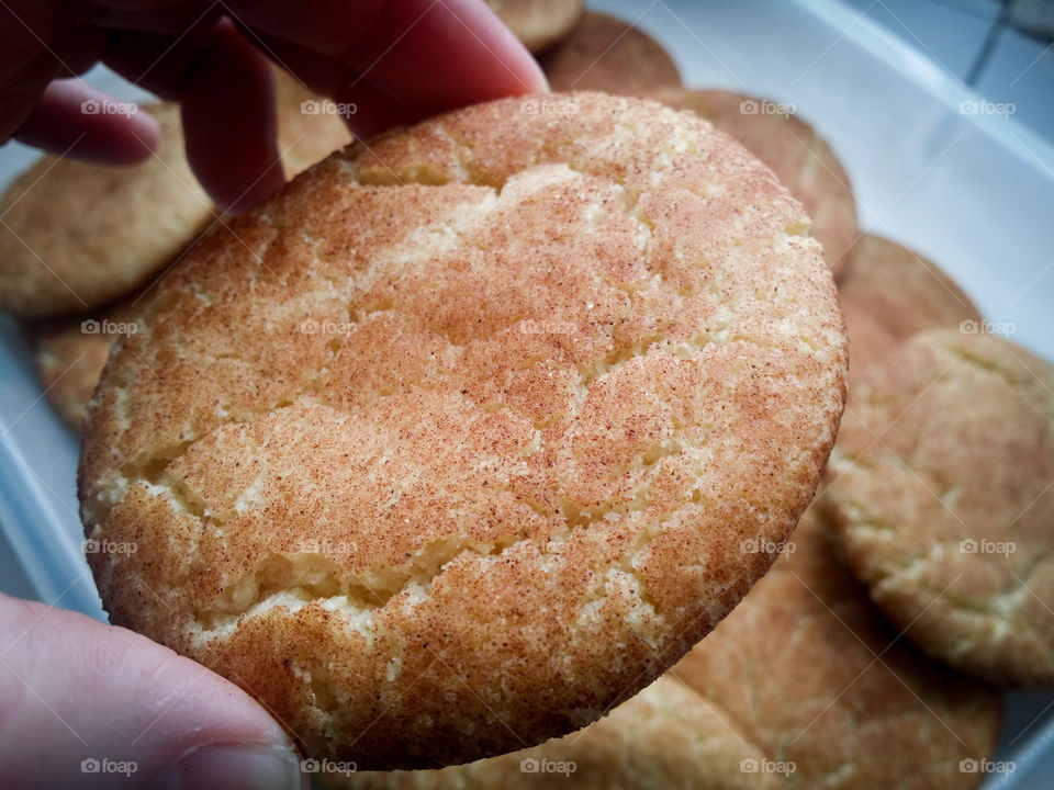 Hand Holding a Snickerdoodle