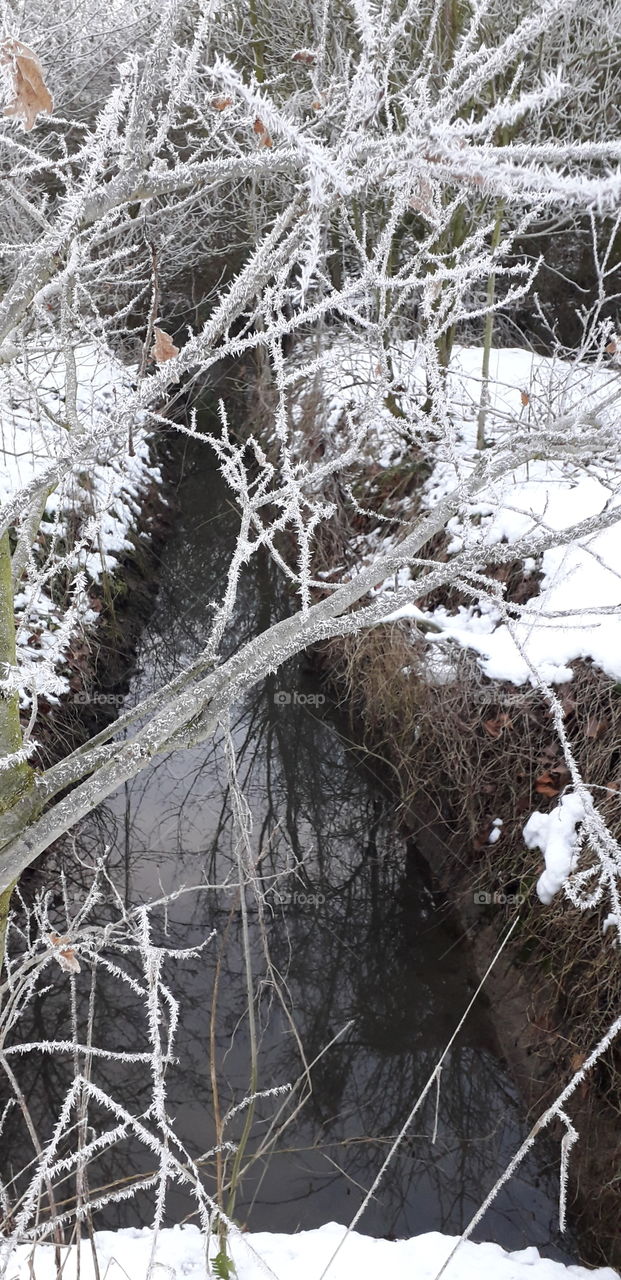 rivière au parc Barbieux