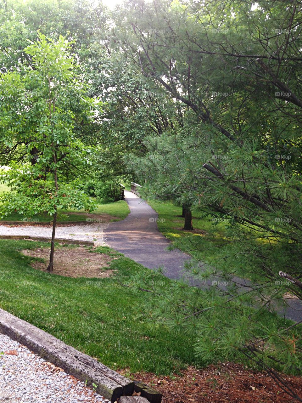 Park pathway . City park walking path