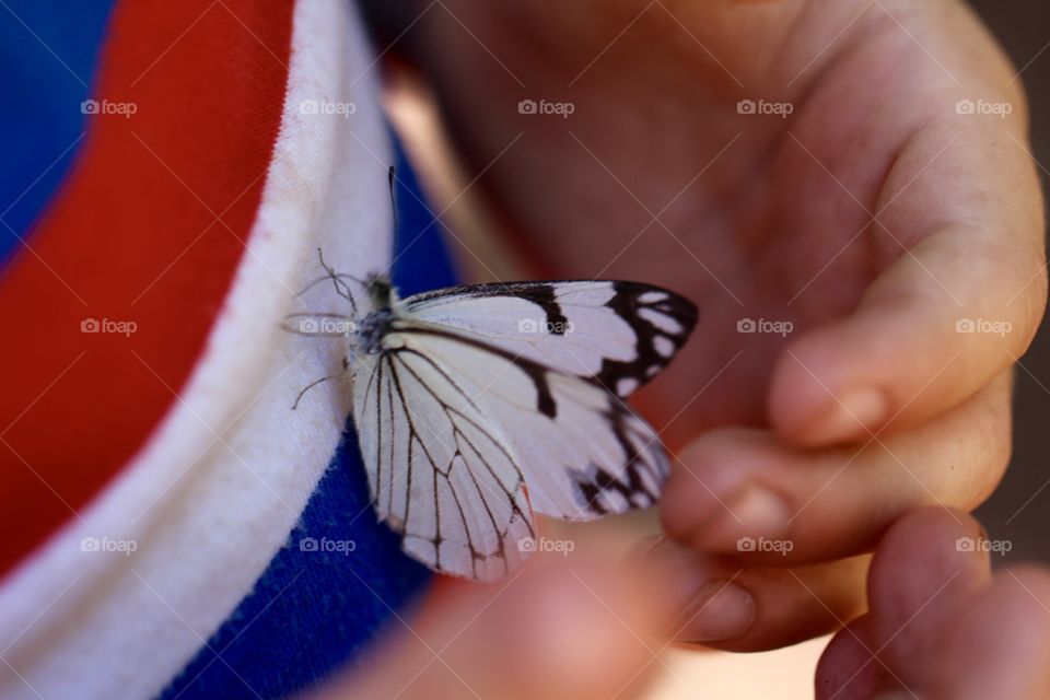 Boy with Butterfly