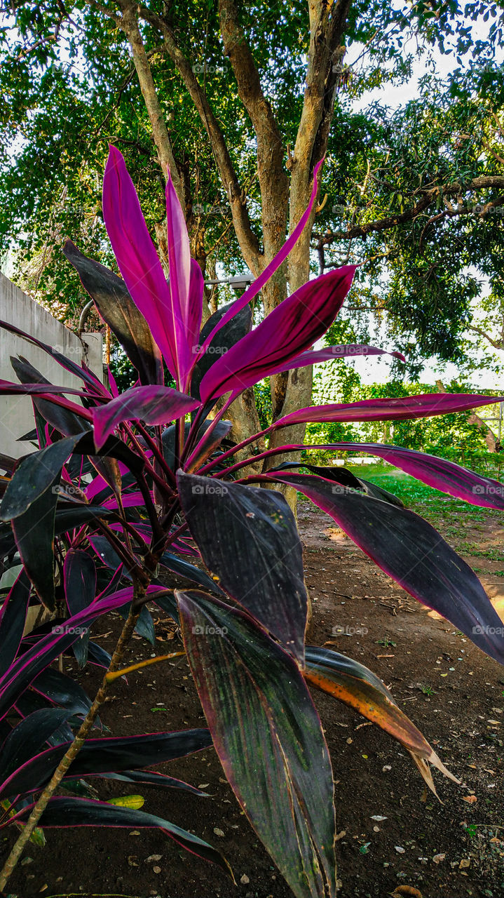 looks good to be back!