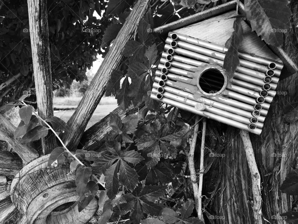 Rustic birdhouse 