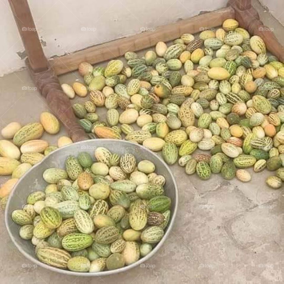 Kachri Fruit