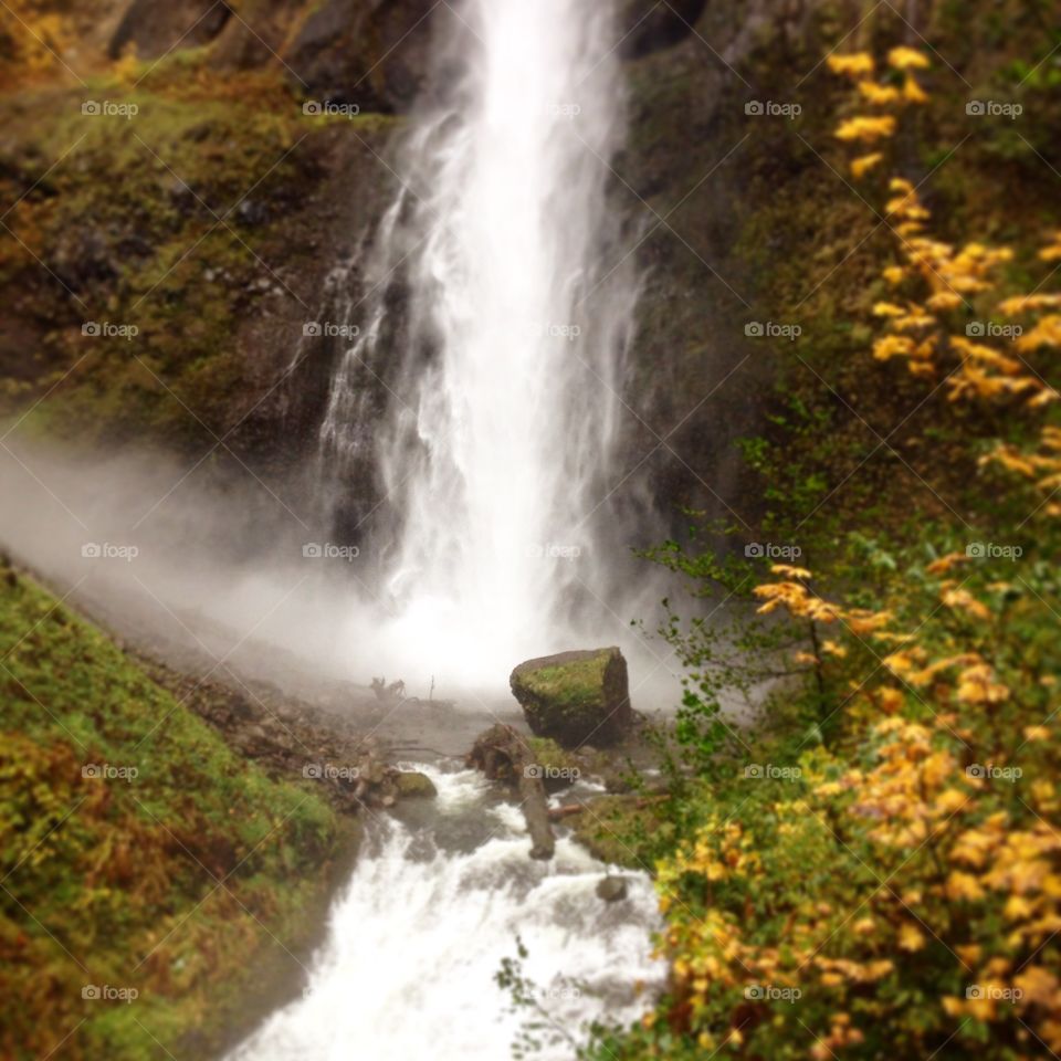 Waterfall, Fall, Water, No Person, Nature