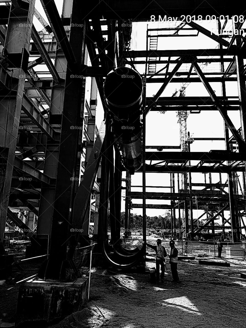 Cable Nerve - Steel Bone