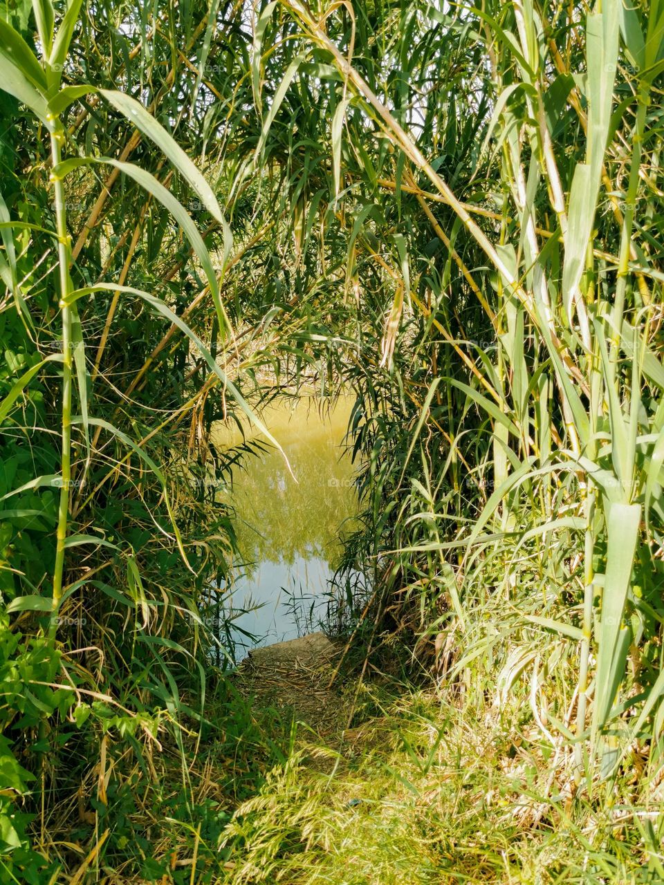 Fishermen access to the river