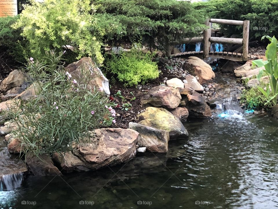 Pond with rocks 