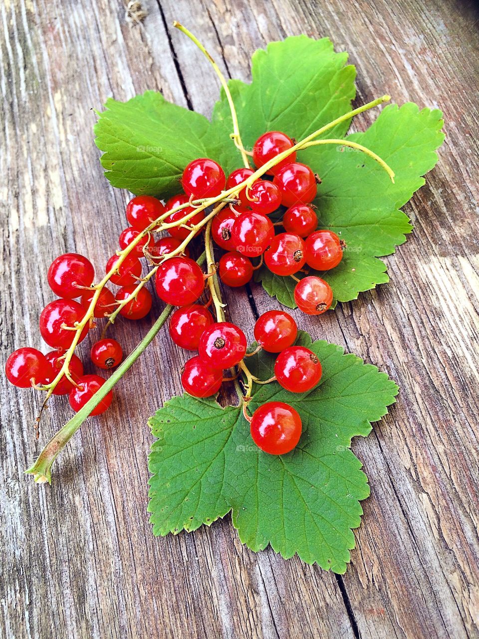 Fresh redcurrants on wood