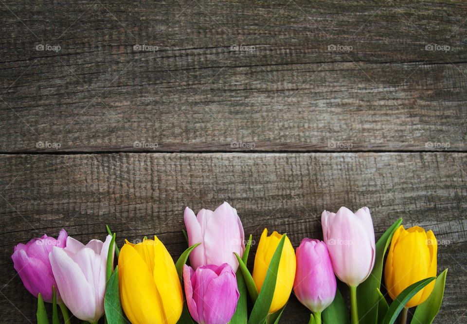 Spring tulips 