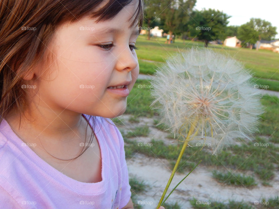 Big ball of wishes. Little girl looking longingly at a salsify flower 