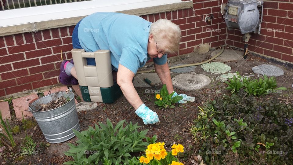 gardening. pulling weeds