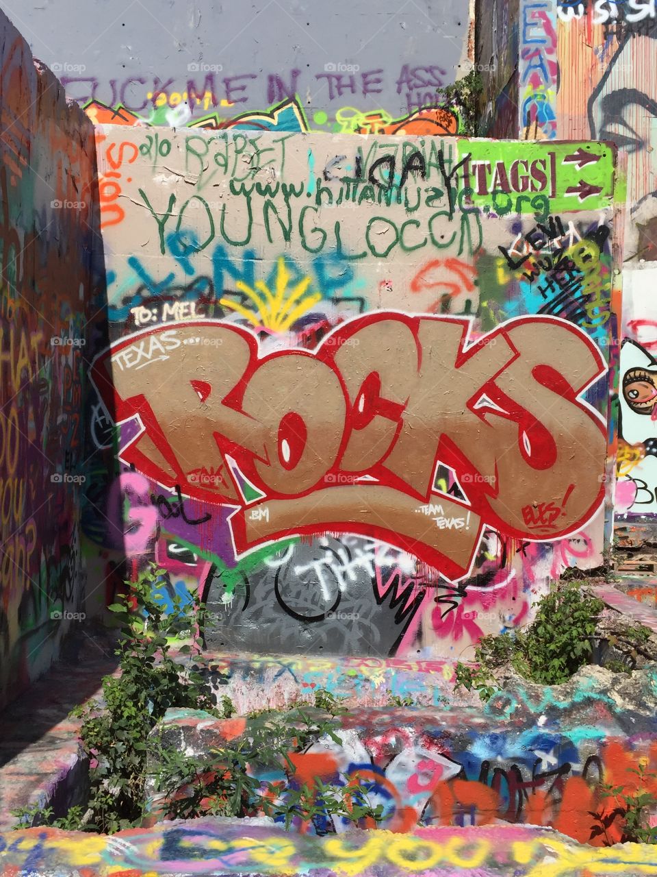 Baylor St. . Graffiti wall