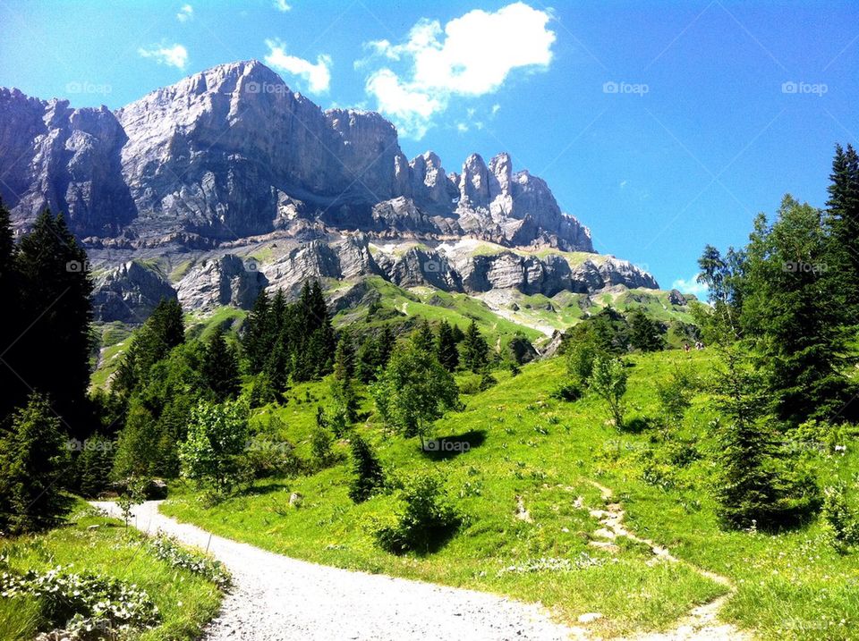 A beautiful day for a hike