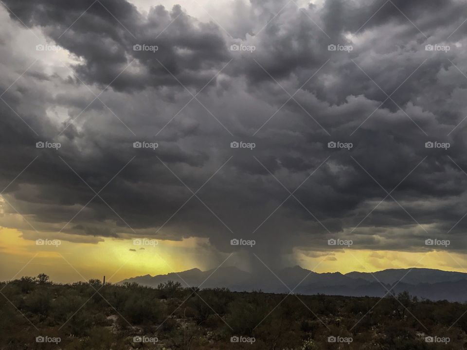 Storm Chasing 